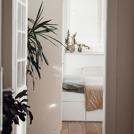 Rural Carniola Fairytale Apartman Križe Kültér fotó