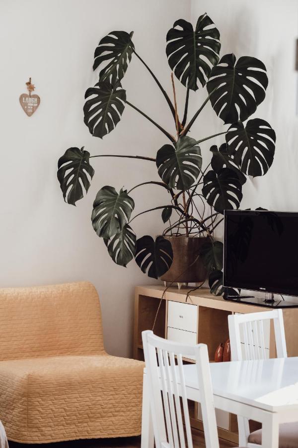 Rural Carniola Fairytale Apartman Križe Kültér fotó